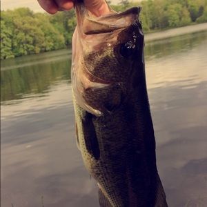 Meet your Posher, Tyler